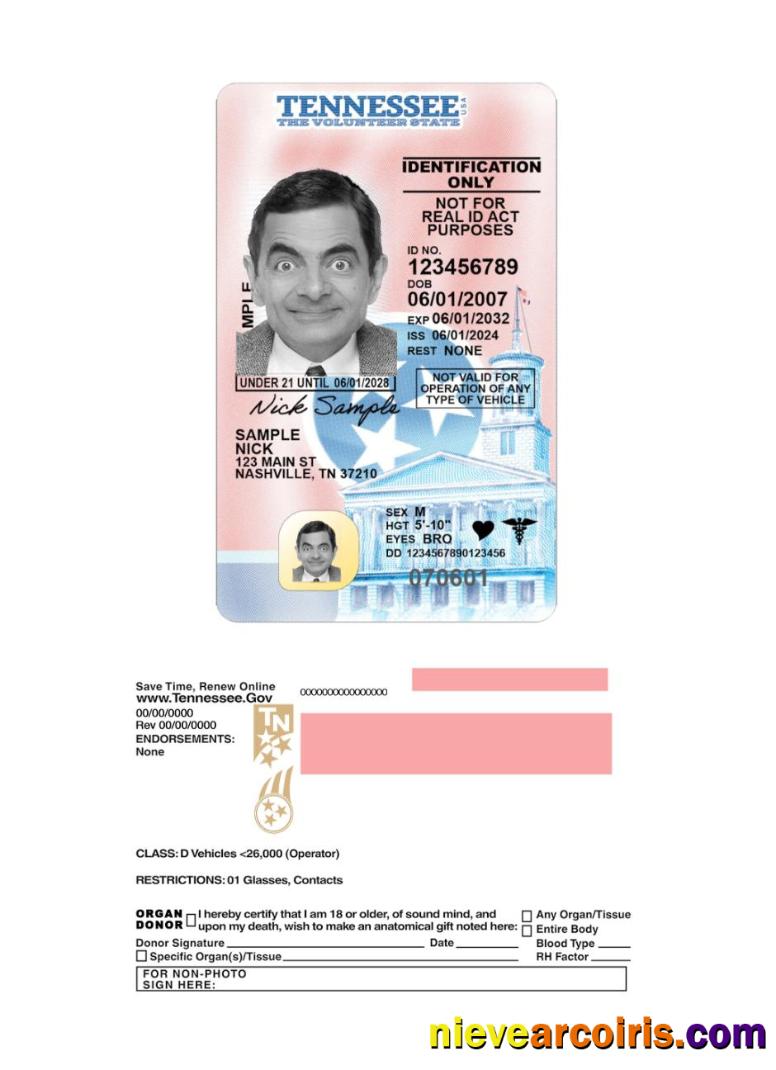 USA Tennessee driving license 2024-present